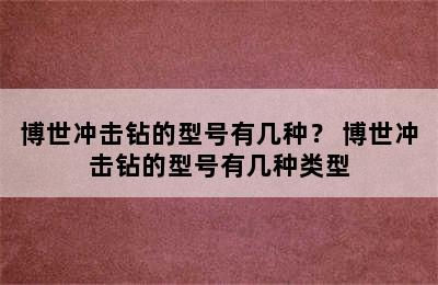 博世冲击钻的型号有几种？ 博世冲击钻的型号有几种类型